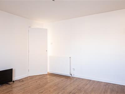 Picture 24